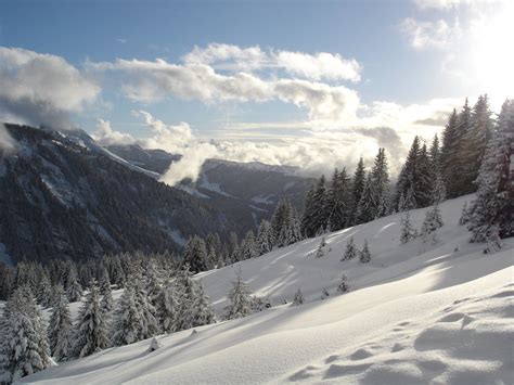 meteovista bonheiden